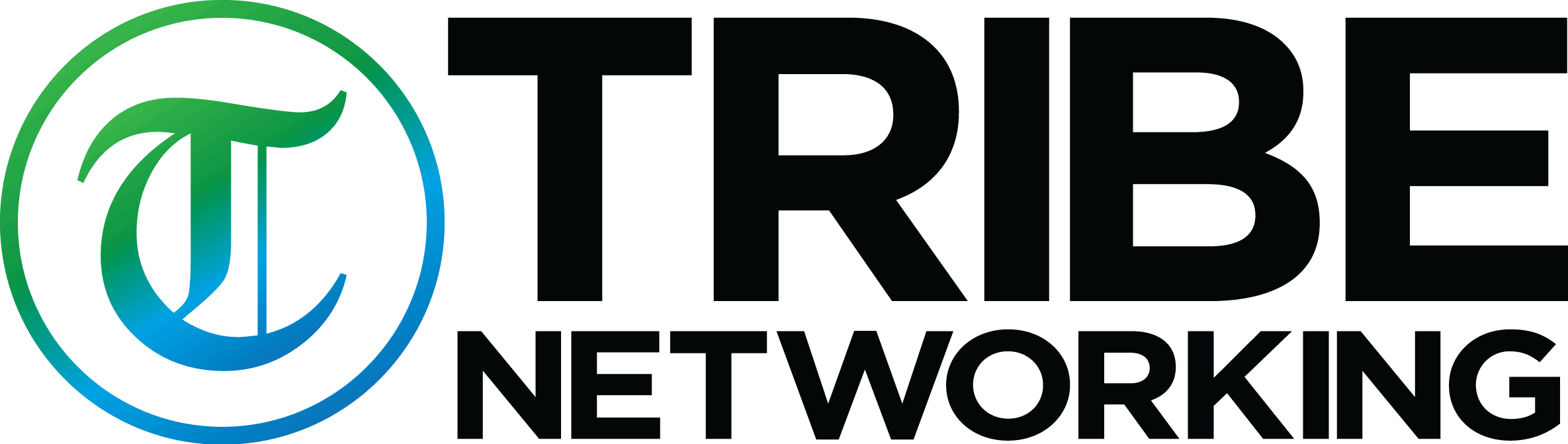 Tribe Networking Logo